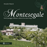 LIBRO MONTESEGALE (click to enlarge)